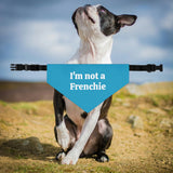 I'm Not A Frenchie - Dog Bandana Collar