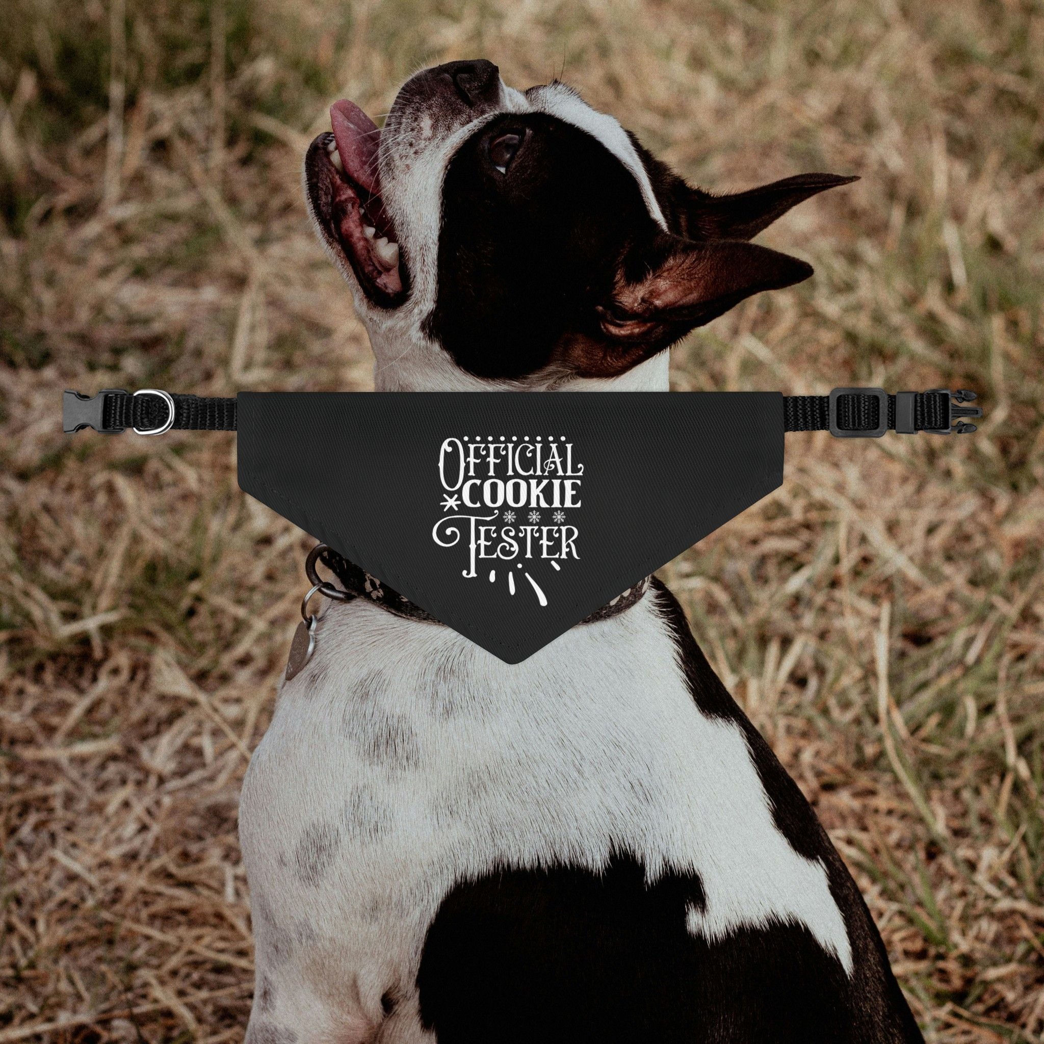 Official Cookie Tester Dog Bandana Collar