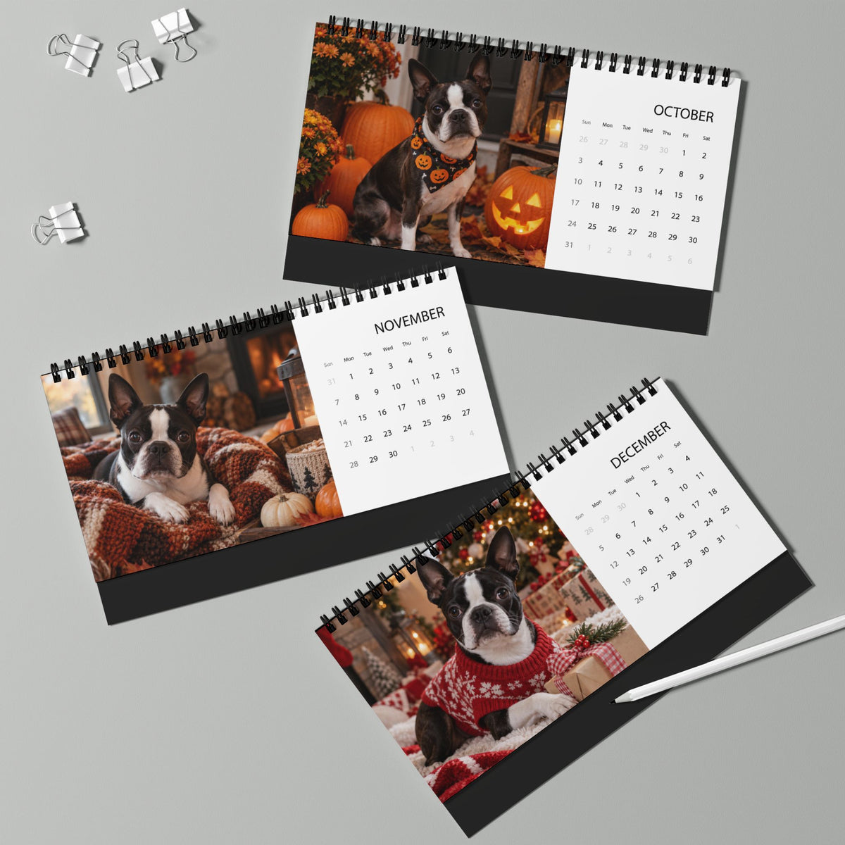 Boston Terrier World 2027 Desktop Calendar .