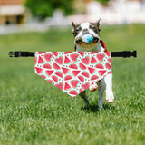 Watermelon Fruit Pet Bandana, Summer Dog Accessories, Cute Dog Gifts, Adjustable Pet Collar, Dog Birthday Outfit
