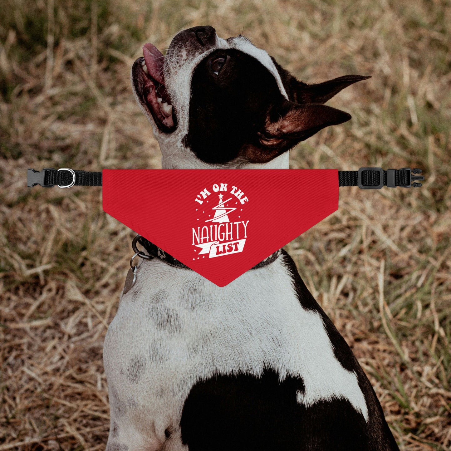 I'm On The Naughty List Christmas Dog Bandana Collar - Red