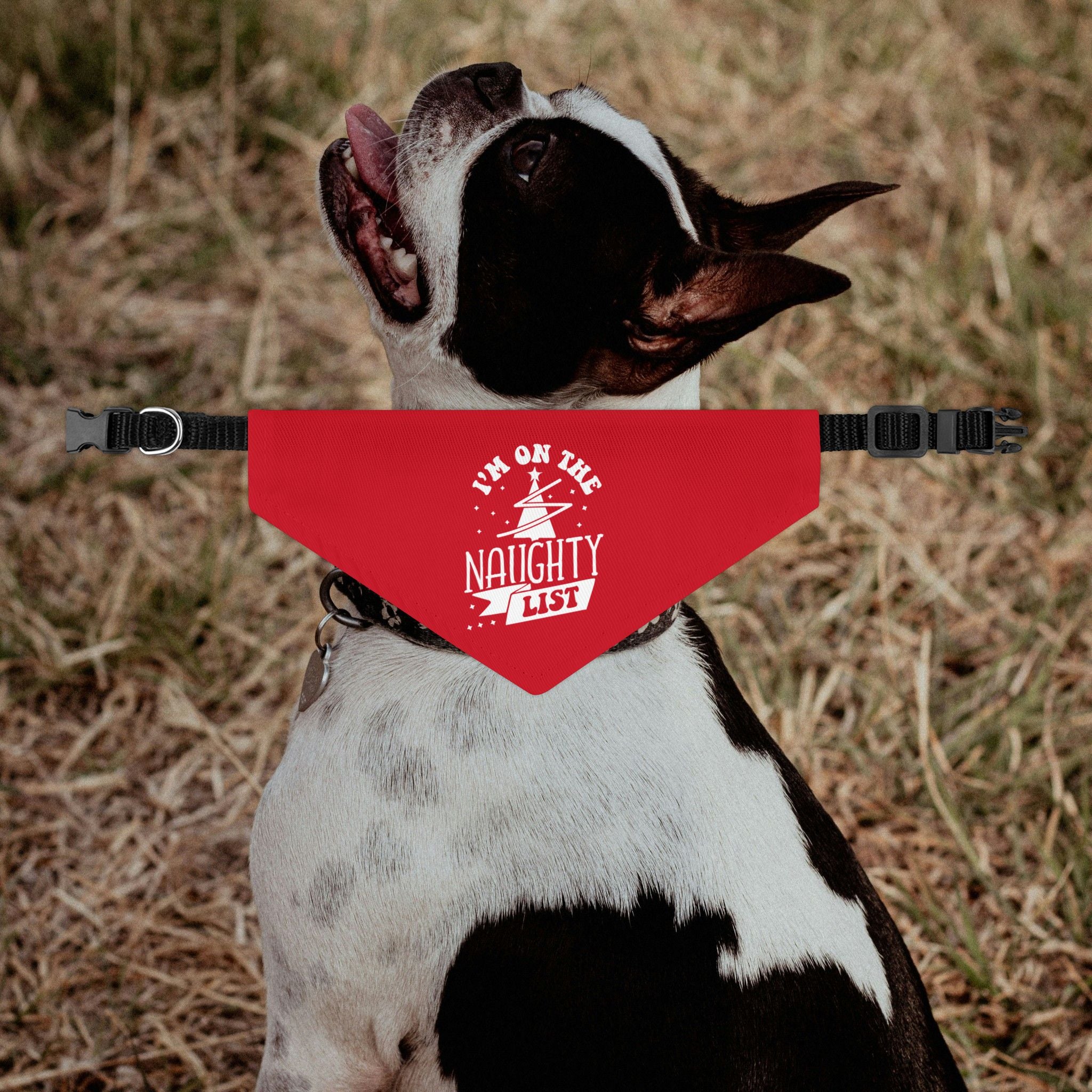 I'm On The Naughty List Christmas Dog Bandana Collar - Red