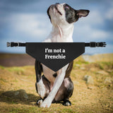 I'm Not A Frenchie - Dog Bandana Collar