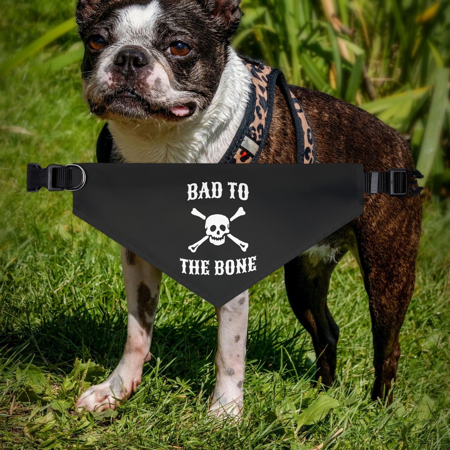 Bad to the Bone Pet Bandana Collar, Dog Outfit, Stylish Pet Accessory, Pet Costume, Halloween Dog Bandana, Cute Dog Gear