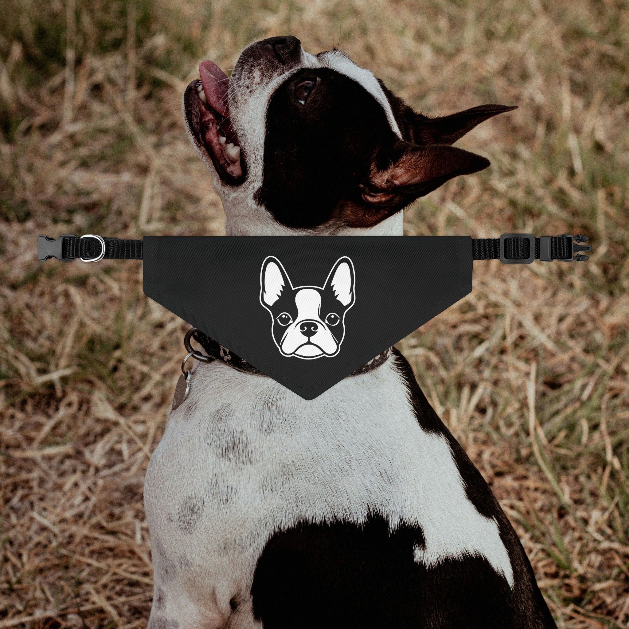 Bostie Face Dog Bandana Collar