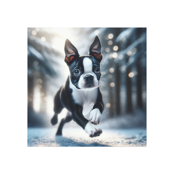 Boston Terrier Pup Running In The Snow Magnet