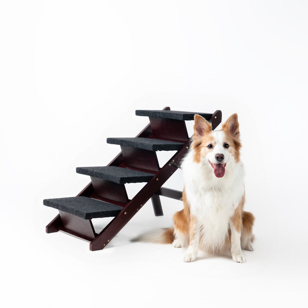 Foldable 4 Levels Pet Stairs & Ramp Perfect For Beds And Cars