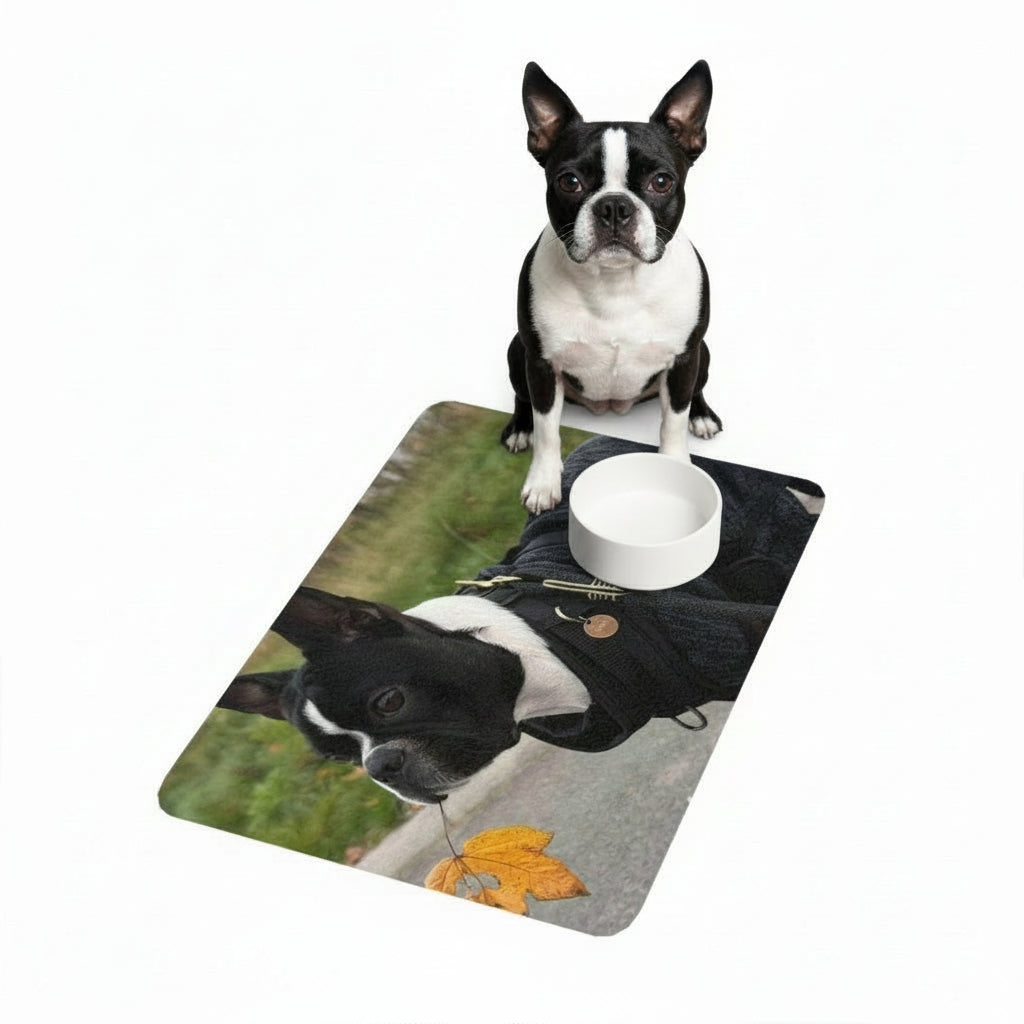 Personalized Dog Food Mat — Pet Placemat with Dog Photo (12x18) .