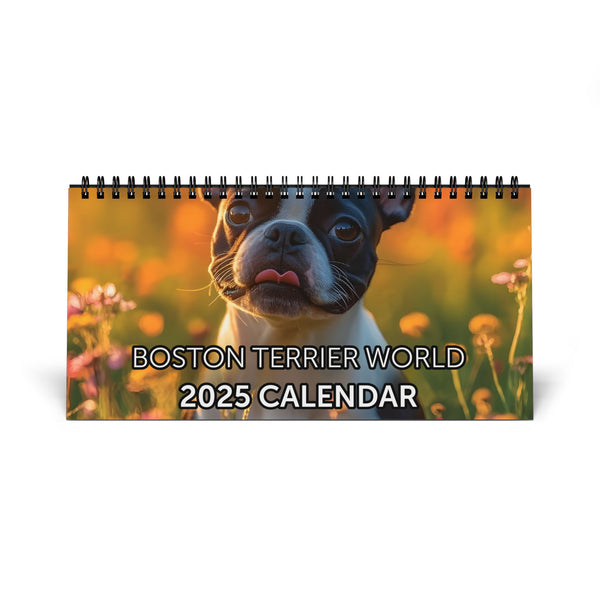 Boston Terrier World Desktop Calendar (2025 grid)