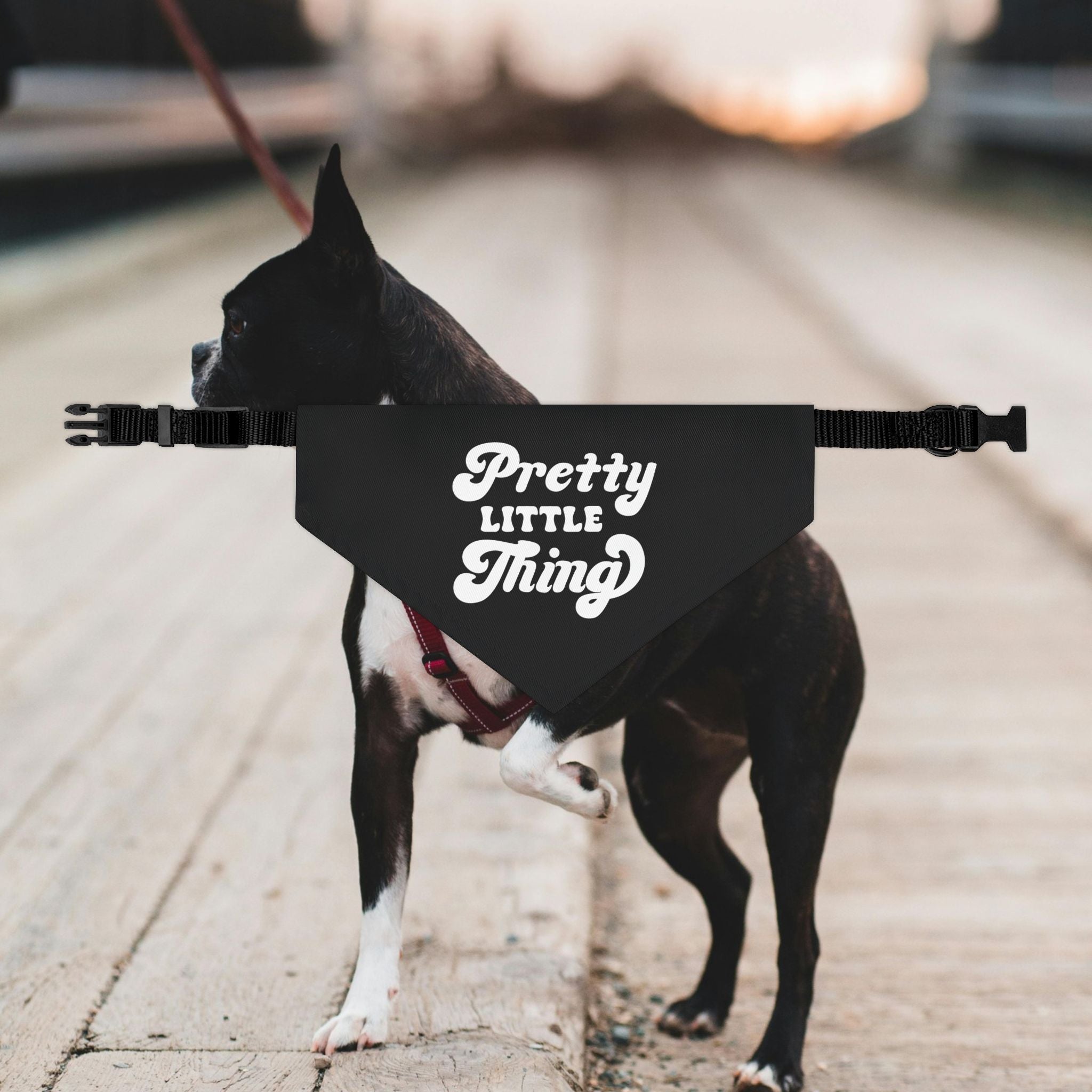 Pretty Little Thing Dog Bandana Collar