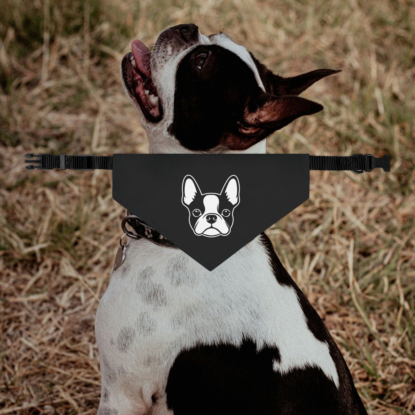 Bostie Face Dog Bandana Collar