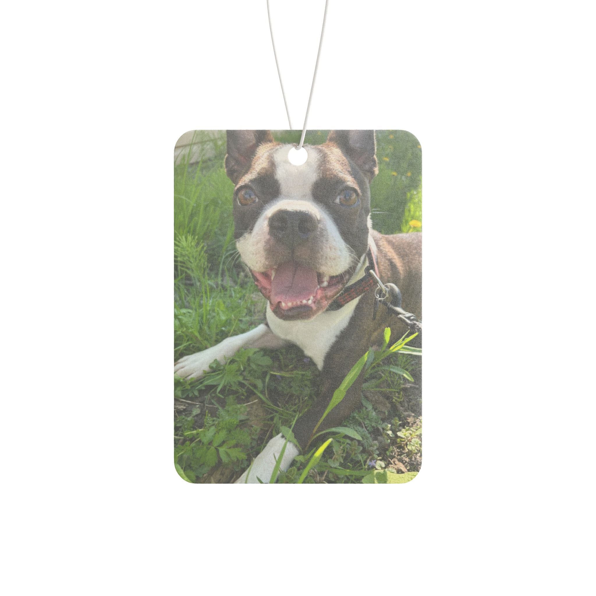 Personalized Dog Photo Car Air Freshener