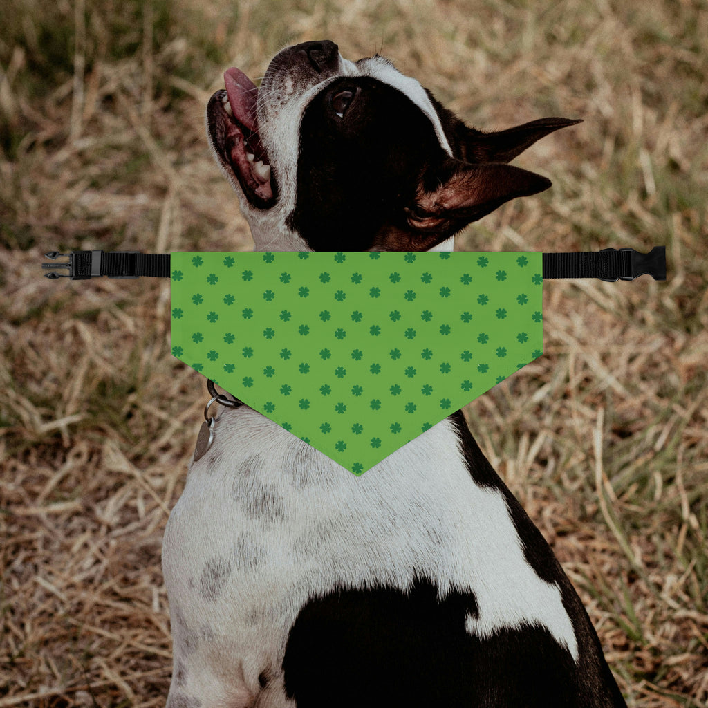 Clover St Patricks Day Dog Bandana Collar