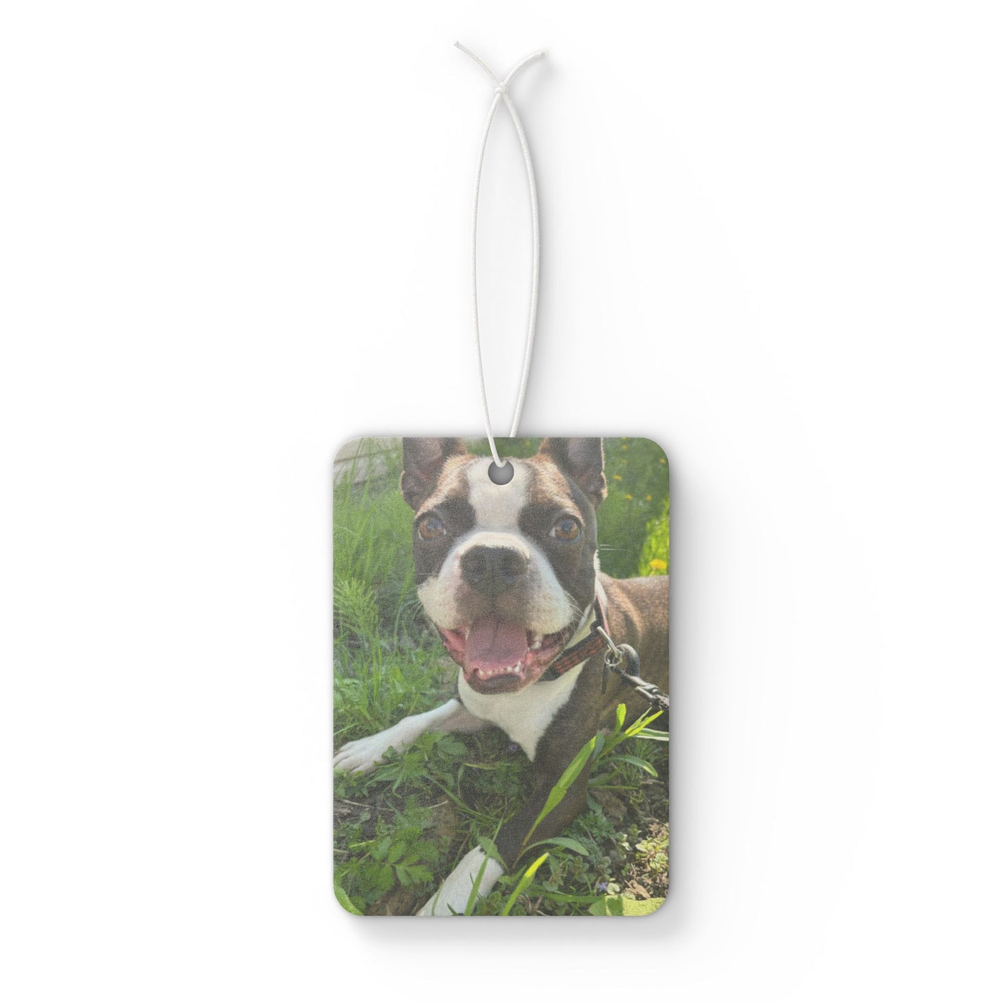 Personalized Dog Photo Car Air Freshener