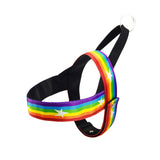 Multicolor Rainbow Dog Harness