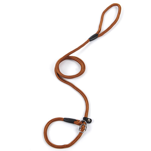 Slip Lead Training Dog Leash