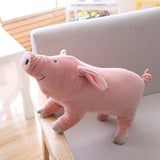 Plush Pig Dog Toy
