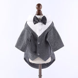 Gentleman Dog Suit