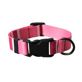 Printed Dog Collars