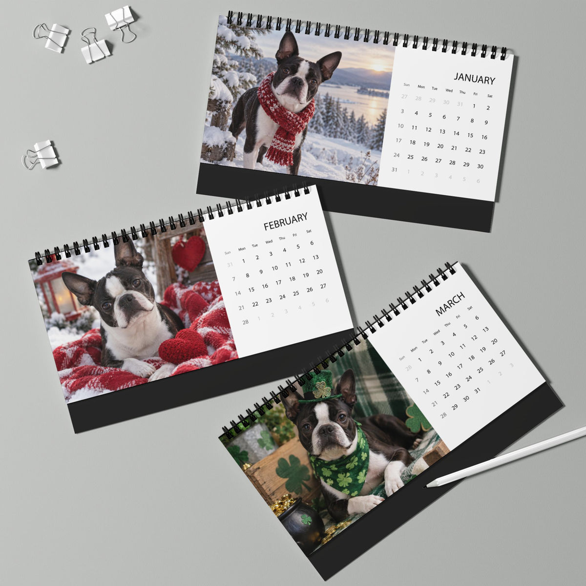 Boston Terrier World 2027 Desktop Calendar .