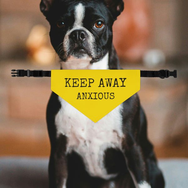 Anxious Dog Keep Away Bandana Collar