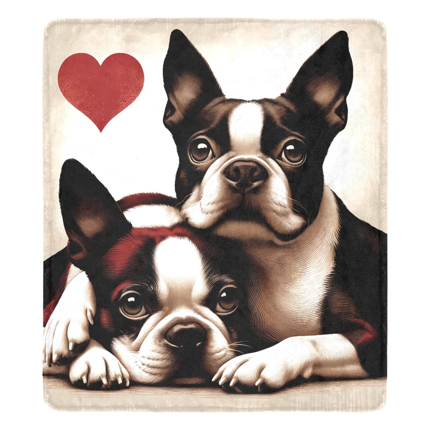 Two Boston Terriers Love Ultra-Soft Micro Fleece Blanket .