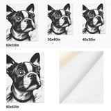 Chico - Flannel Blanket