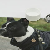 Personalized Dog Food Mat — Pet Placemat with Dog Photo (12x18) .