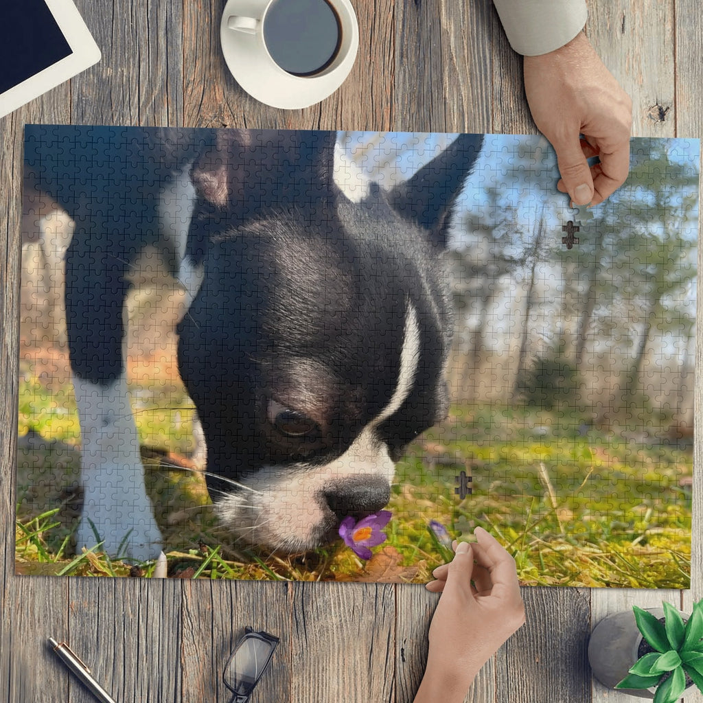 Custom Jigsaw Puzzle Using Dog Photo (1000 Pcs)