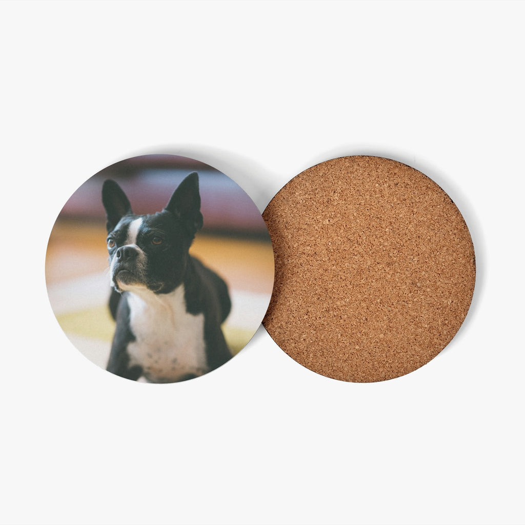 Custom Wood Coaster Using Dog Photo (4 Pcs)