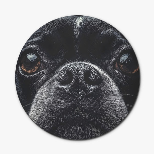 Boston Terrier Dog Face Closeup Wood Coaster (4 Pcs)