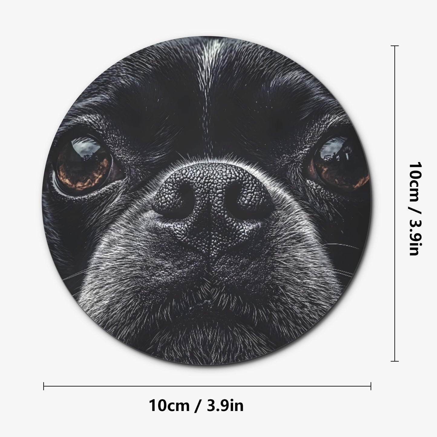 Boston Terrier Dog Face Closeup Wood Coaster (4 Pcs)