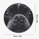 Boston Terrier Dog Face Closeup Wood Coaster (4 Pcs)