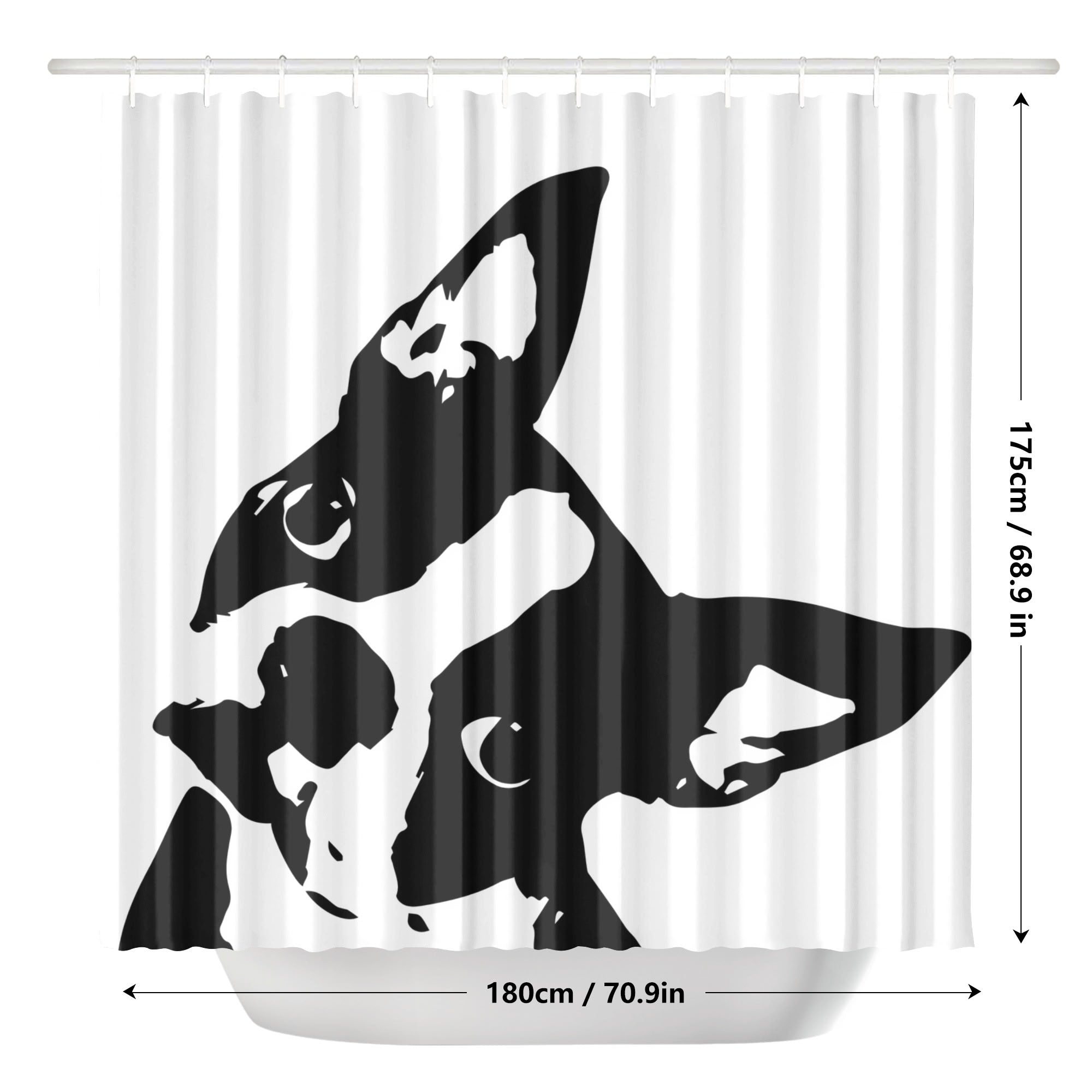 Boston Terrier Head Tilt Shower Curtain