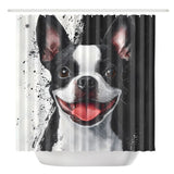 Black And White Boston Terrier Portrait Art Shower Curtain