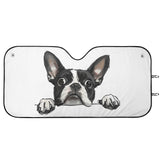 Peekaboo Boston Terrier Dog Car Sunshade - White
