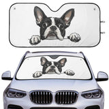 Peekaboo Boston Terrier Dog Car Sunshade - White