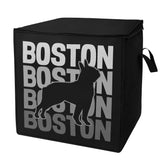 Boston X4 Storage Box Bag