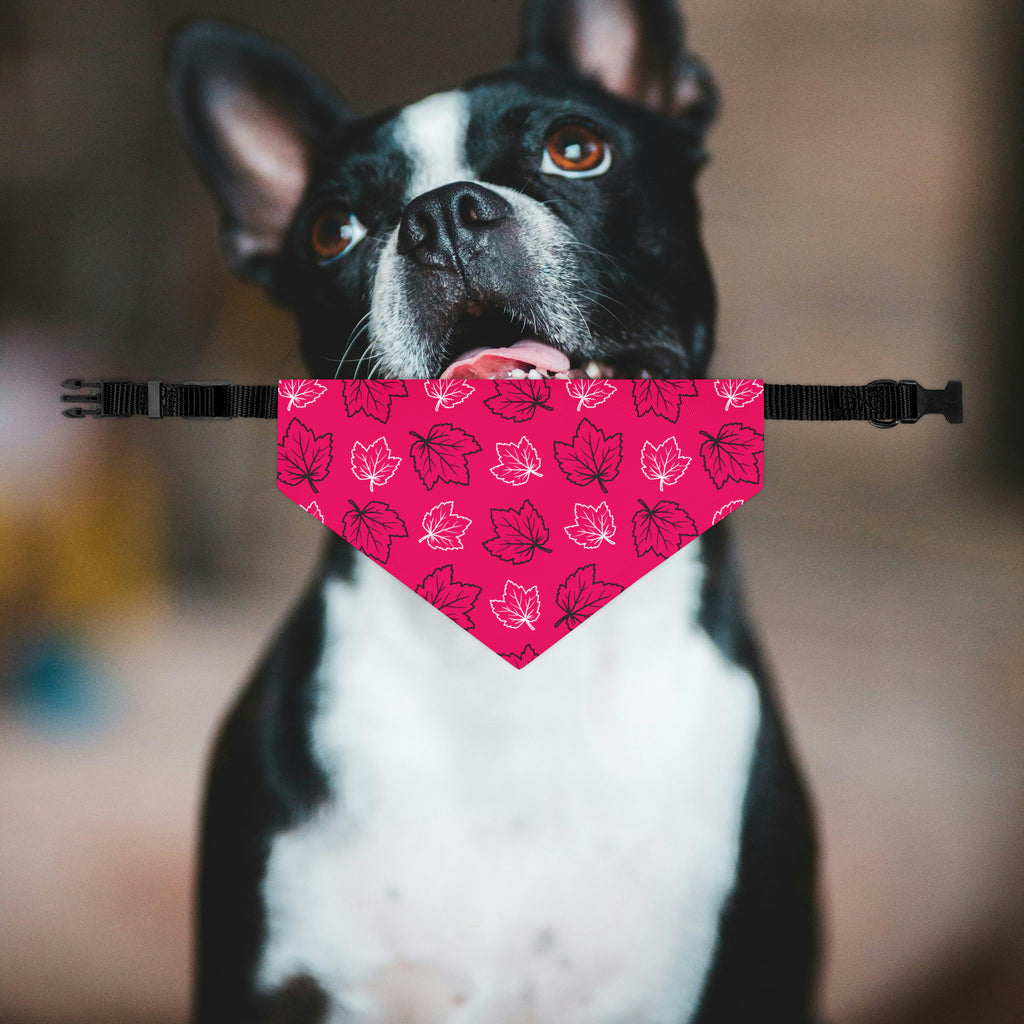 Pink Leaf Dog Bandana Collar