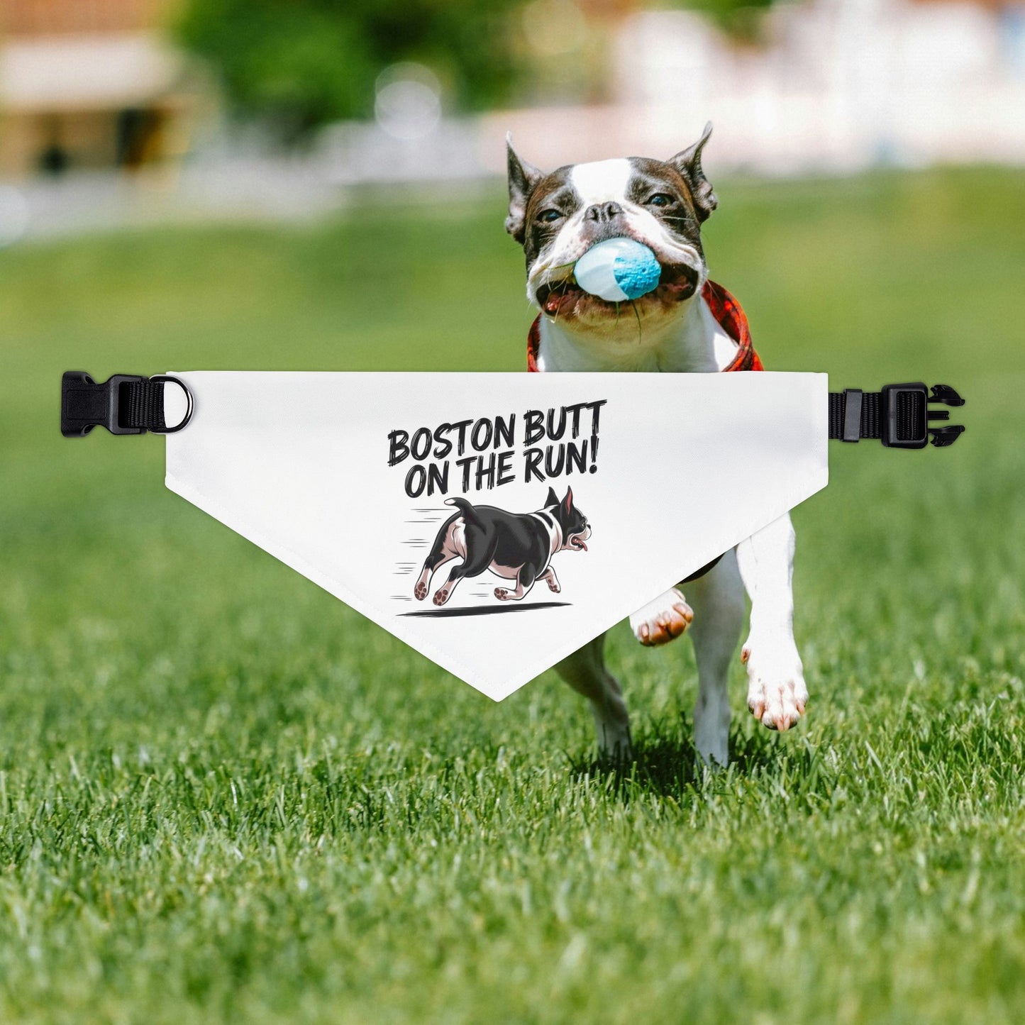 Fun Pet Bandana Collar - 'Boston Butt on the Run!' for Playful Dogs