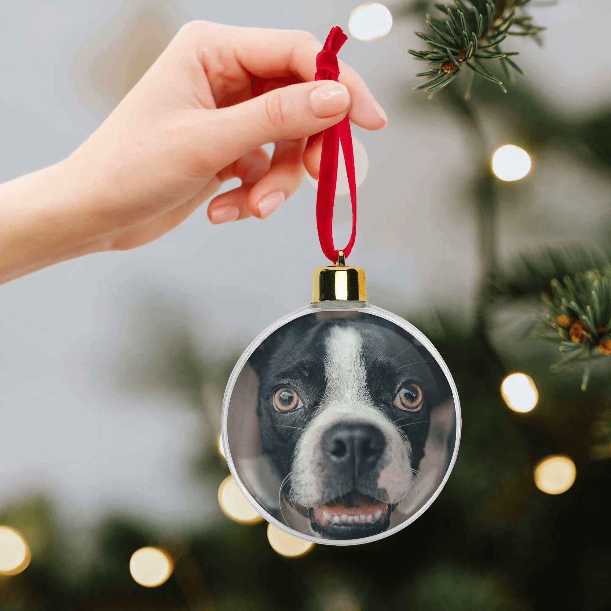 filename-1761978962-4-COVnyK9gCL