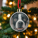 filename-1761978962-5-COVnyK9gCL