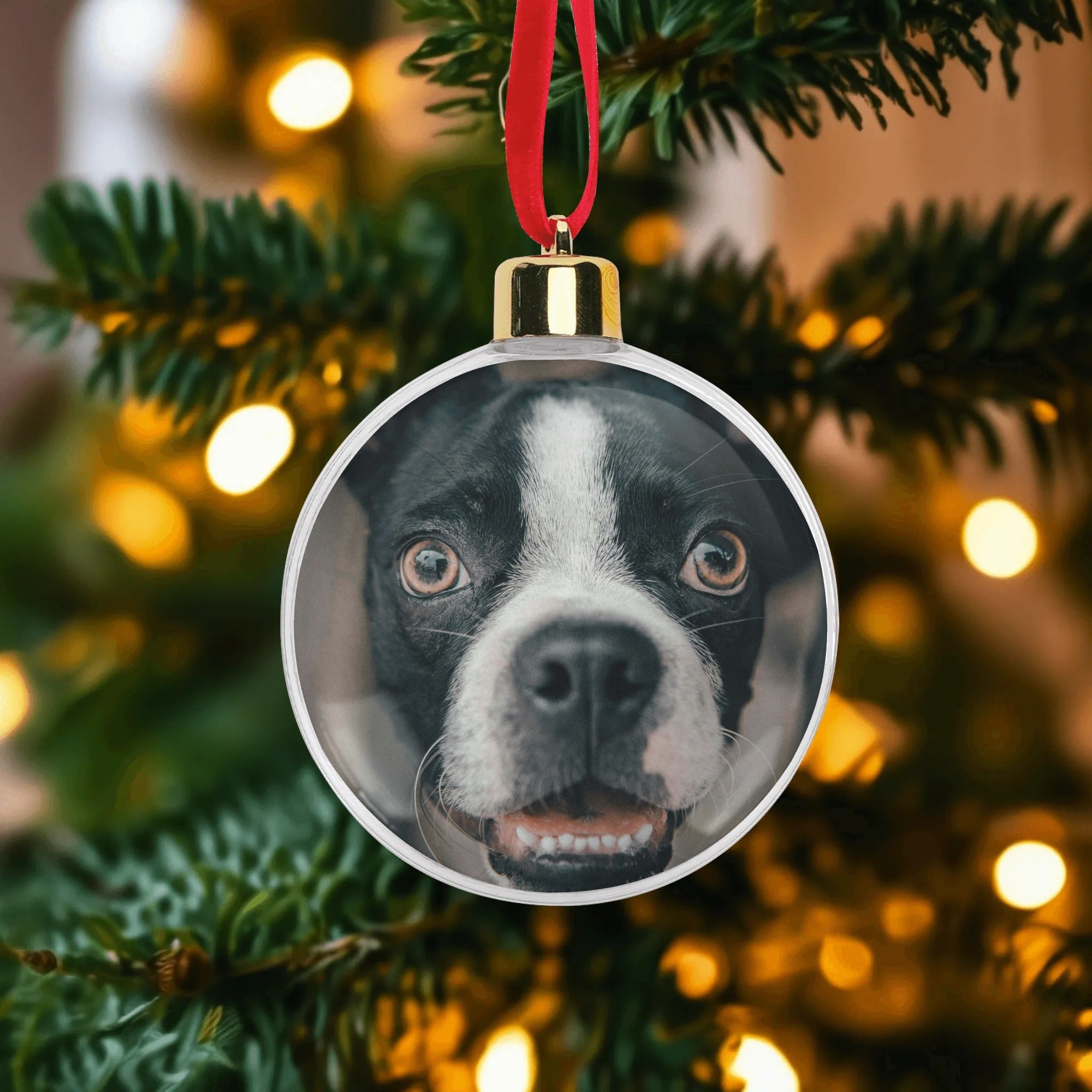 filename-1761978962-5-COVnyK9gCL