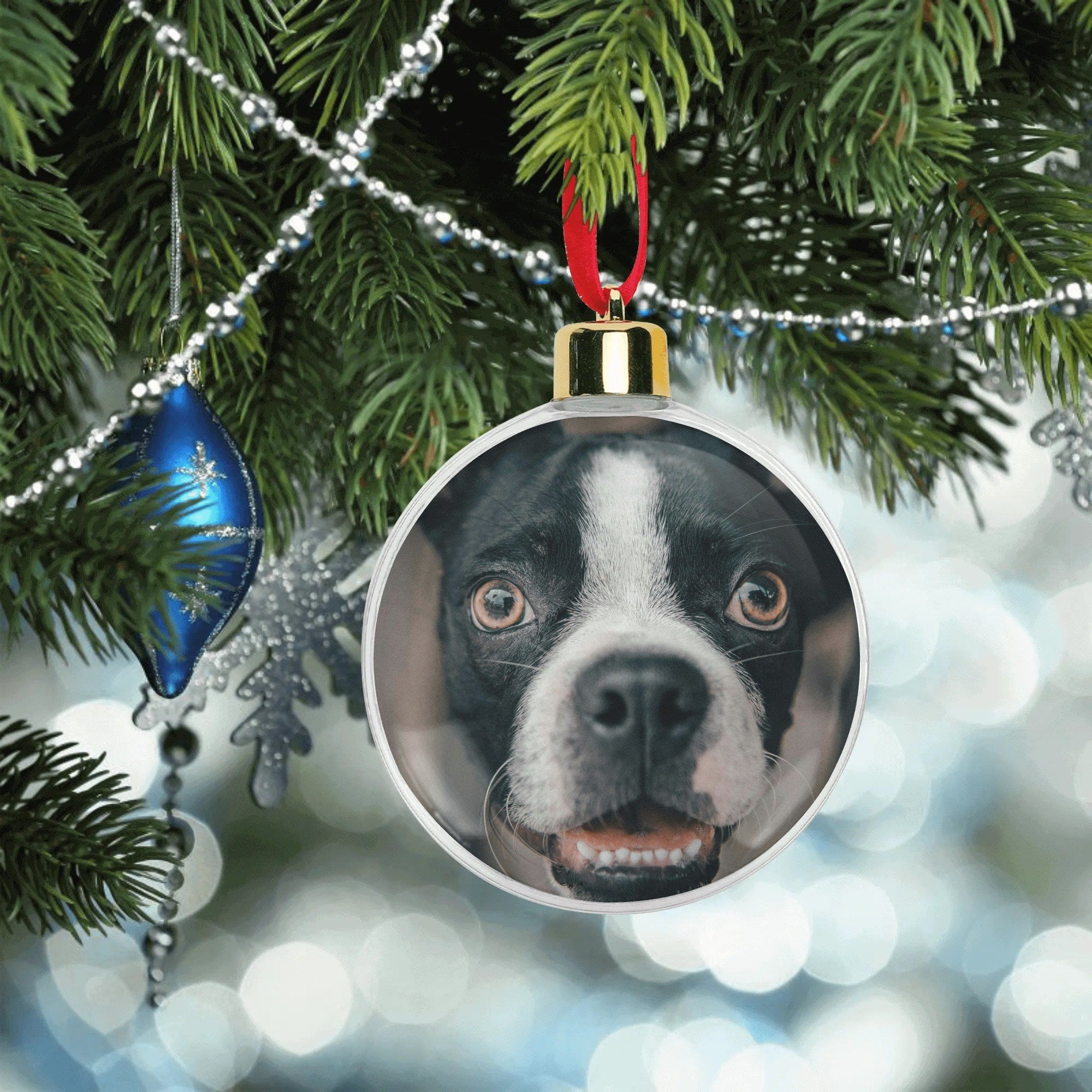 filename-1761978962-6-COVnyK9gCL