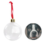 filename-1761978962-8-COVnyK9gCL