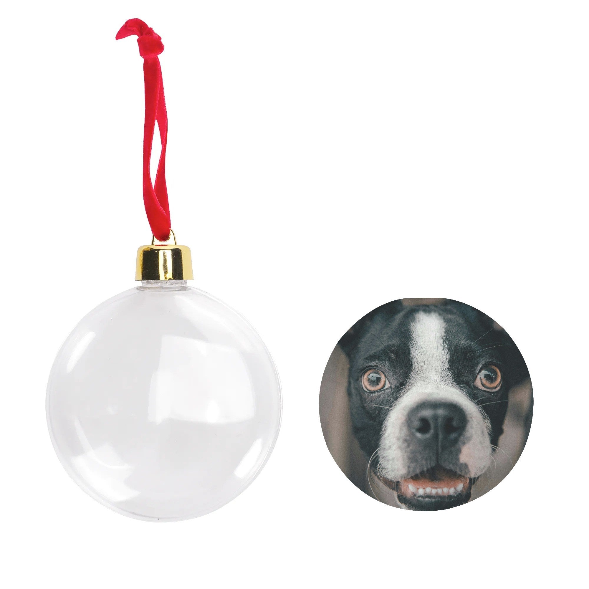 filename-1761978962-8-COVnyK9gCL