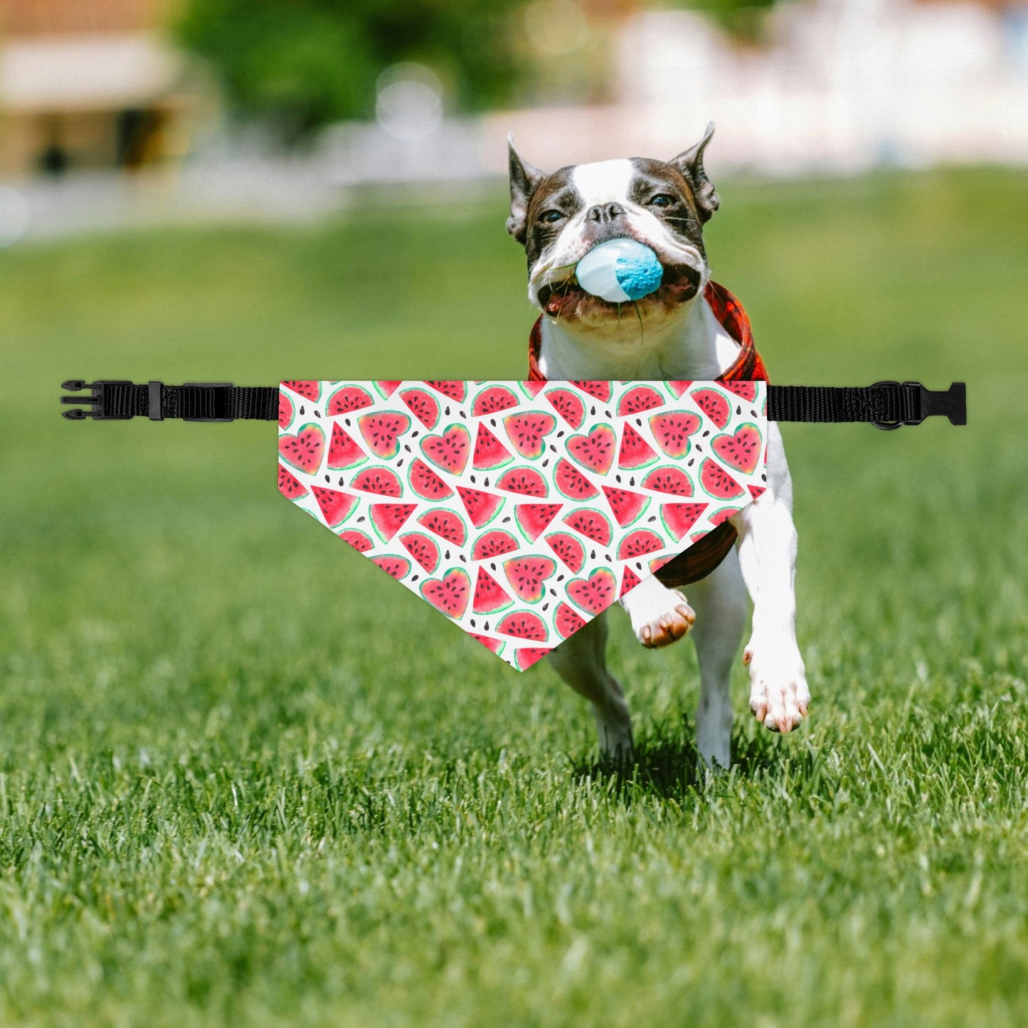 Watermelon Fruit Pet Bandana, Summer Dog Accessories, Cute Dog Gifts, Adjustable Pet Collar, Dog Birthday Outfit