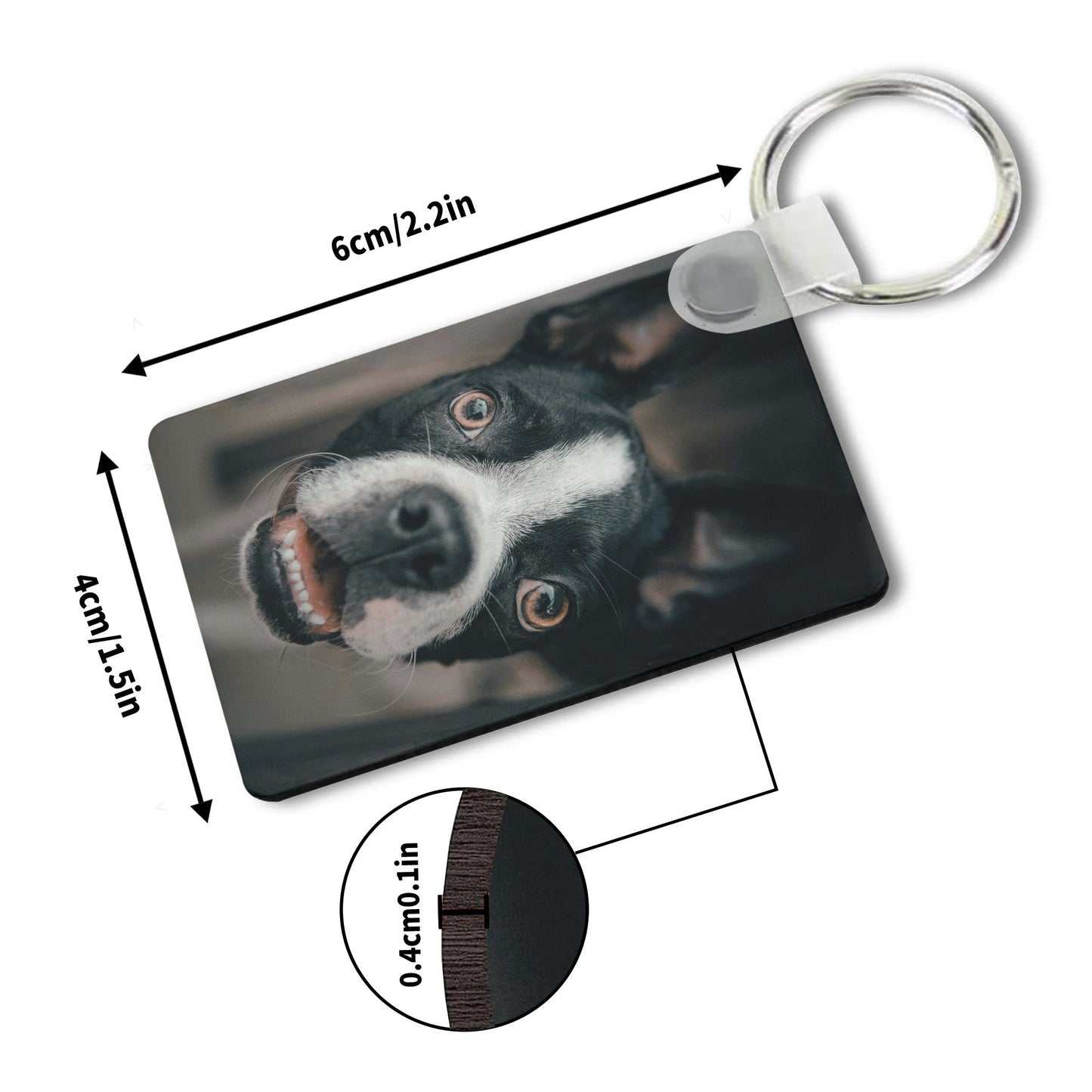 filename-1764056335-8-CRZkcXzj6c