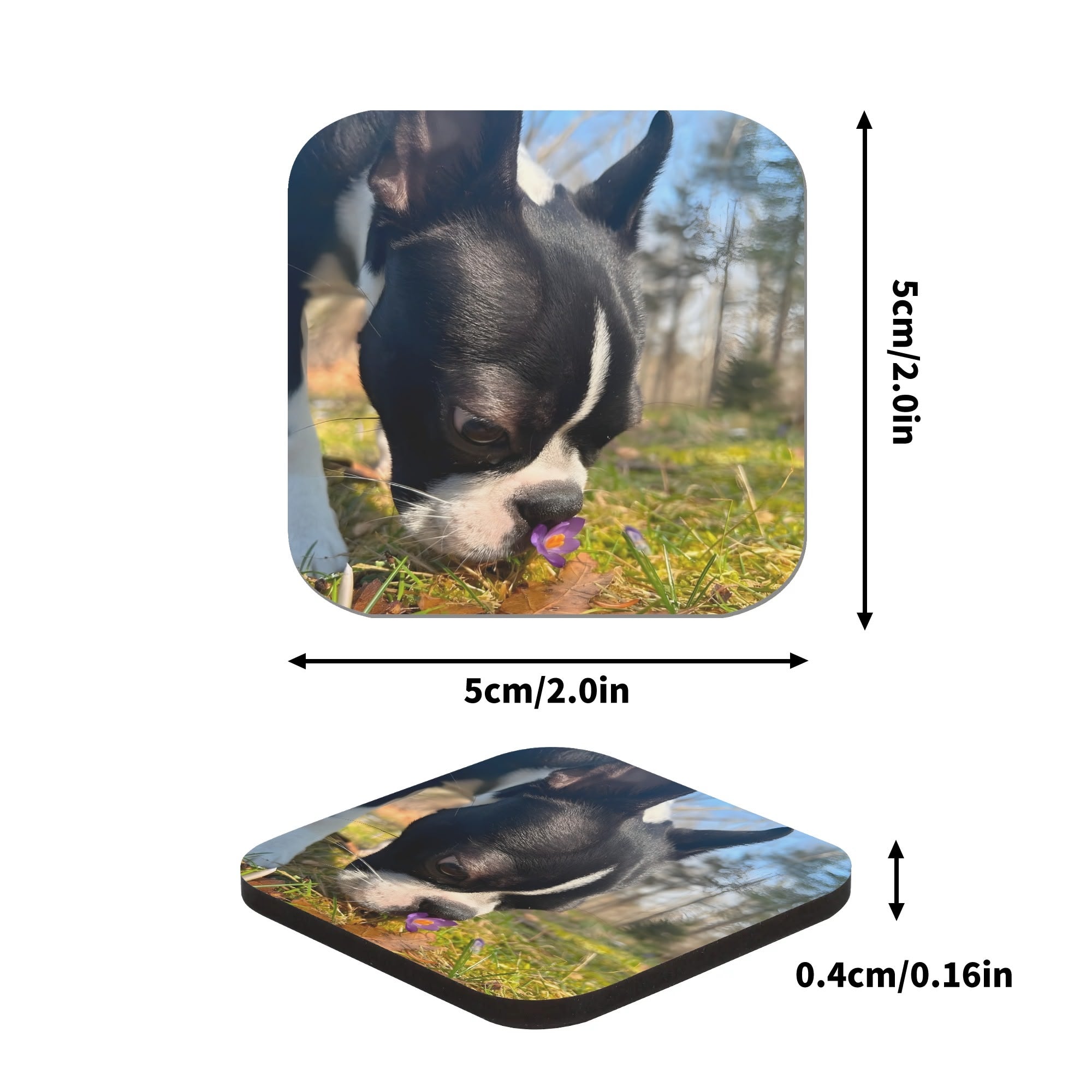 Personalized Dog Photo Magnets 4 Pcs .
