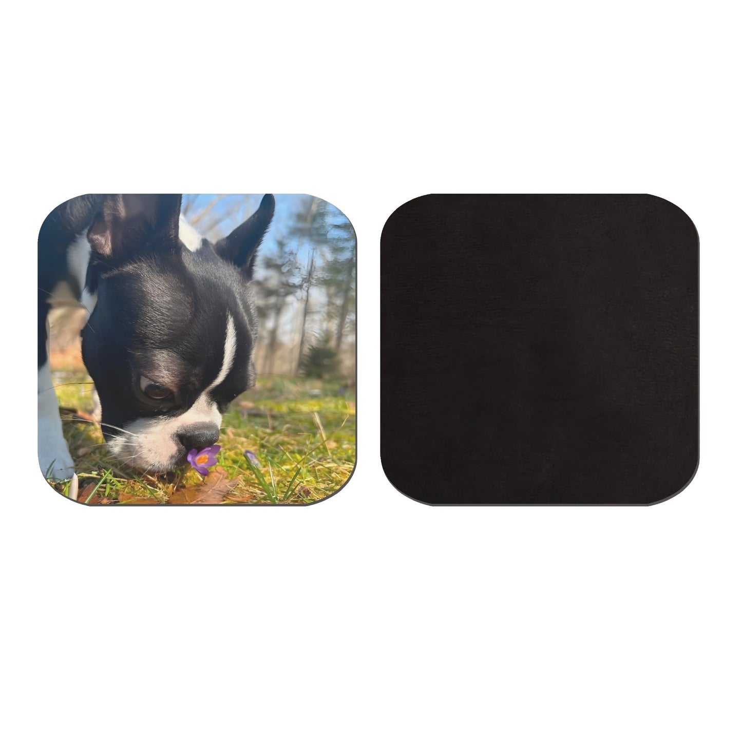 Personalized Dog Photo Magnets 4 Pcs .